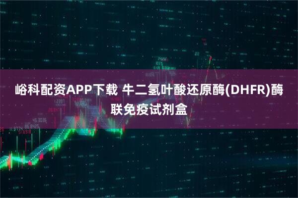 峪科配资APP下载 牛二氢叶酸还原酶(DHFR)酶联免疫试剂盒