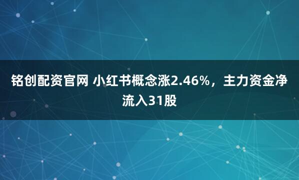 铭创配资官网 小红书概念涨2.46%，主力资金净流入31股