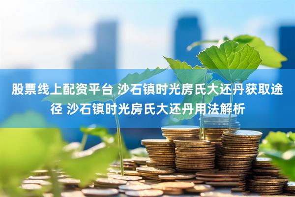 股票线上配资平台 沙石镇时光房氏大还丹获取途径 沙石镇时光房氏大还丹用法解析