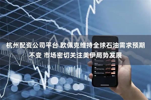 杭州配资公司平台 欧佩克维持全球石油需求预期不变 市场密切关注美伊局势发展